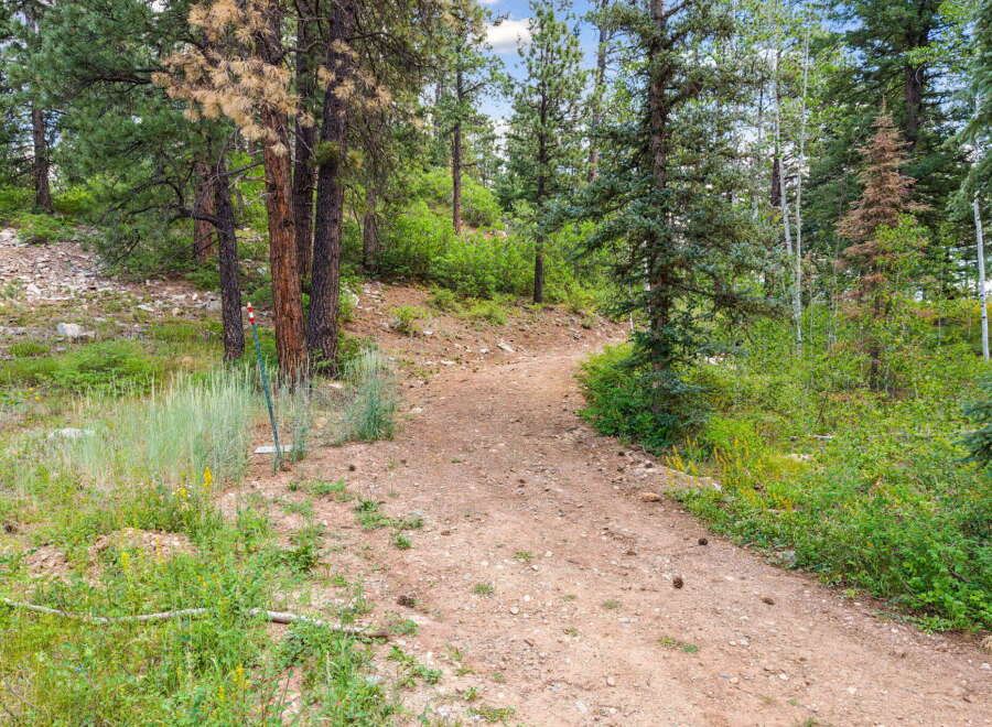 Discover the natural beauty surrounding this property with a scenic dirt path winding through a lush forest.
