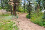 Discover the natural beauty surrounding this property with a scenic dirt path winding through a lush forest.