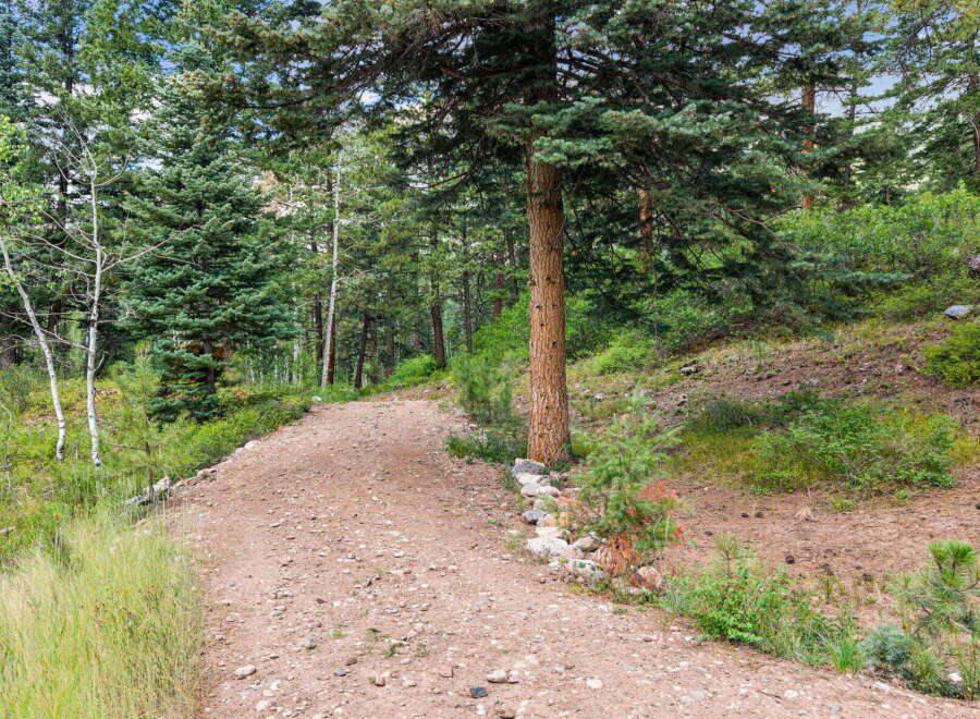 Discover your dream home nestled amidst a serene forest landscape.