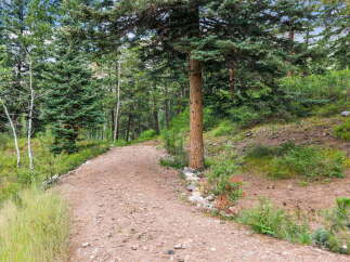 Discover your dream home nestled amidst a serene forest landscape.