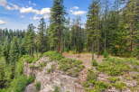 Experience breathtaking views from this stunning cliffside property, nestled amidst a serene pine forest.
