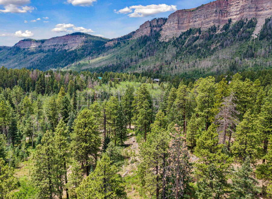 Nestled amidst a lush pine forest, this property offers a serene mountain retreat with breathtaking views of rugged cliffs.