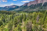 Nestled amidst a lush pine forest, this property offers a serene mountain retreat with breathtaking views of rugged cliffs.