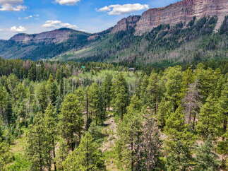 Nestled amidst a lush pine forest, this property offers a serene mountain retreat with breathtaking views of rugged cliffs.