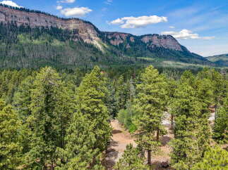 Discover your private mountain retreat nestled amidst towering pine trees and breathtaking canyon views.