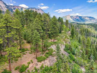 Nestled amidst a lush pine forest, this property offers a serene mountain retreat with breathtaking views.