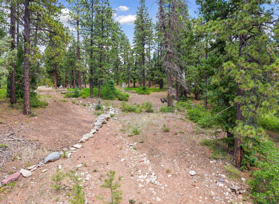 Discover a serene mountain retreat with this expansive wooded lot, perfect for building your dream home.