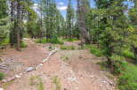 Discover a serene mountain retreat with this expansive wooded lot, perfect for building your dream home.