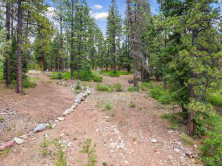Discover a serene mountain retreat with this expansive wooded lot, perfect for building your dream home.