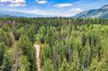 Experience the serene beauty of this expansive forested property, featuring a mix of mature evergreen and deciduous trees.