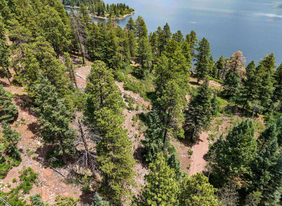 Discover your private oasis with this stunning aerial view of a lush, wooded property bordering a serene lake.