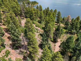 Discover your private oasis with this stunning aerial view of a lush, wooded property bordering a serene lake.