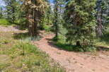 Discover the natural beauty of this property, featuring a winding dirt path through a lush forest.
