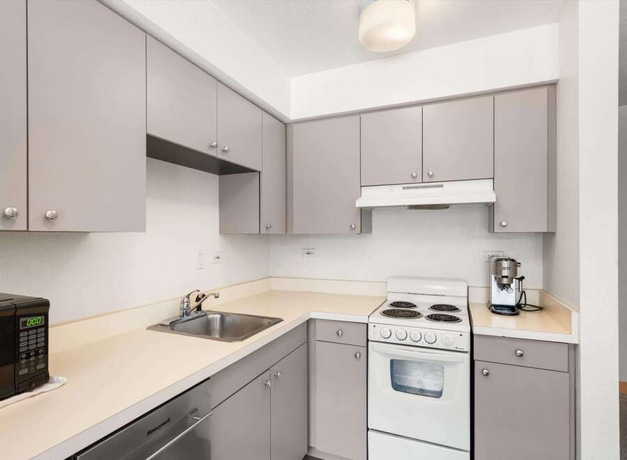 This kitchen features sleek, modern gray cabinetry complemented by a durable countertop.