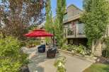 Enjoy outdoor living in this beautifully landscaped backyard featuring a spacious patio area perfect for entertaining.