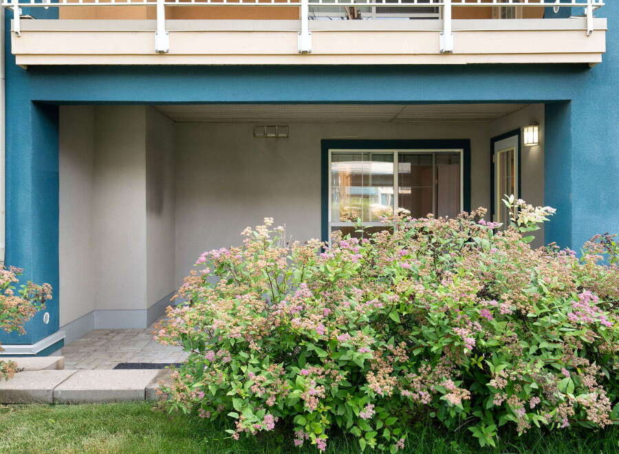 Enhance your curb appeal with this charming property featuring a welcoming entrance adorned with lush, blooming bushes.
