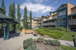 Discover comfortable living in this charming apartment complex, featuring a serene courtyard with ample seating and lush greenery.