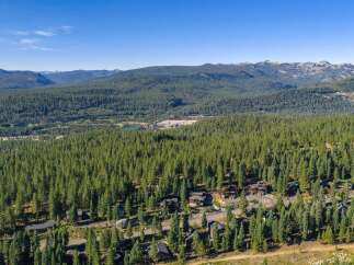 Nestled amidst a dense forest of towering pine trees, this property offers a serene mountain retreat.