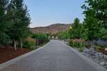 Discover an exquisite property featuring a beautifully paved driveway lined with mature trees and vibrant landscaping.