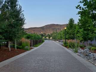 Discover an exquisite property featuring a beautifully paved driveway lined with mature trees and vibrant landscaping.