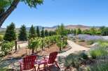 Experience the charm of this vineyard estate, featuring rows of lush grapevines ready for harvest.