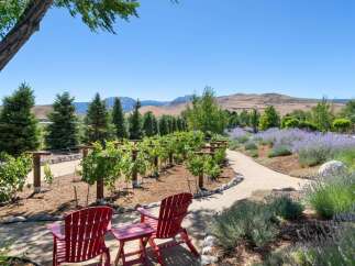 Experience the charm of this vineyard estate, featuring rows of lush grapevines ready for harvest.