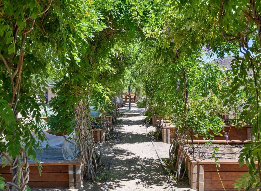 Step into a lush oasis with this stunning garden pathway, shaded by a vibrant green arbor.