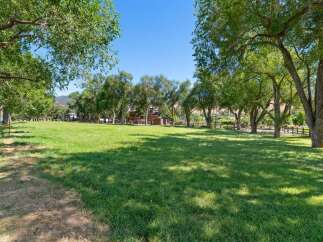 Discover this expansive green lawn, perfect for outdoor activities and gatherings, framed by mature trees offering ample shade.