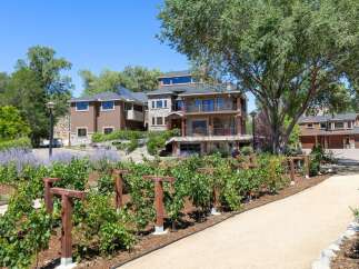 Discover this stunning multi-level estate featuring a blend of stone and stucco architecture, set against a backdrop of lush greenery and mature trees.