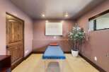 Discover a serene space perfect for relaxation and wellness, featuring a comfortable massage table and a decorative plant.