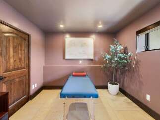Discover a serene space perfect for relaxation and wellness, featuring a comfortable massage table and a decorative plant.
