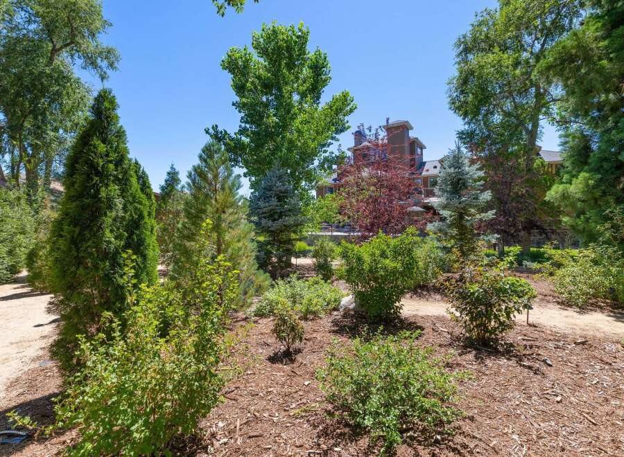 Discover a beautifully landscaped property featuring a variety of lush greenery and mature trees, creating a serene and private atmosphere.