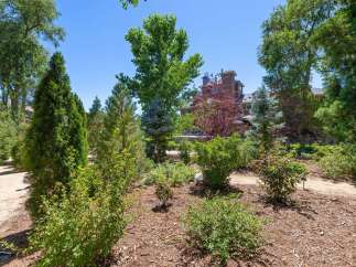 Discover a beautifully landscaped property featuring a variety of lush greenery and mature trees, creating a serene and private atmosphere.