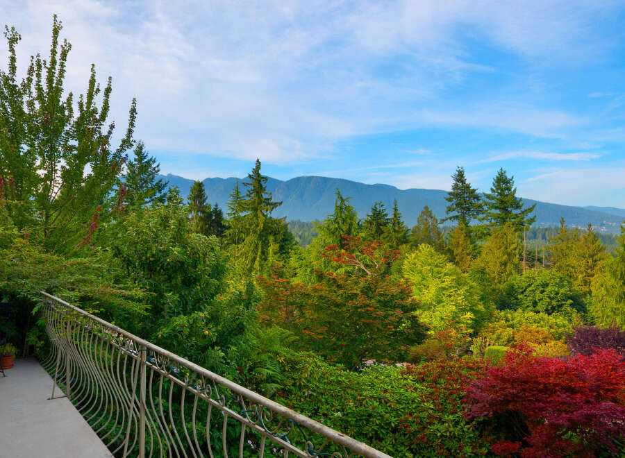 Experience breathtaking mountain views from this stunning property, surrounded by lush, vibrant greenery and mature trees.
