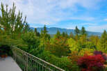 Experience breathtaking mountain views from this stunning property, surrounded by lush, vibrant greenery and mature trees.