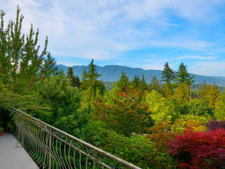 Experience breathtaking mountain views from this stunning property, surrounded by lush, vibrant greenery and mature trees.