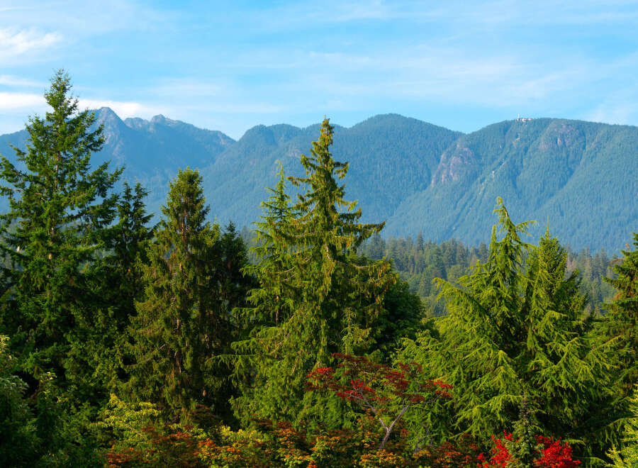 Experience breathtaking natural beauty with this stunning property, nestled amidst lush evergreen forests and majestic mountains.