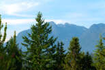 Experience breathtaking mountain views from this stunning property, nestled amidst lush evergreen trees.
