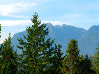 Experience breathtaking mountain views from this stunning property, nestled amidst lush evergreen trees.