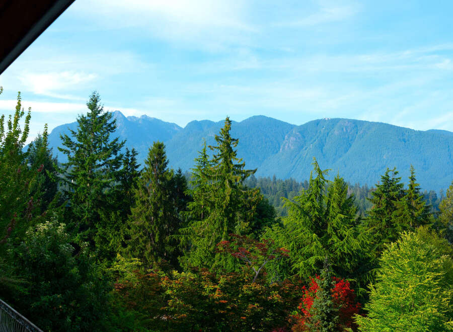 Experience breathtaking mountain views from this stunning property, nestled amidst lush evergreen forests.