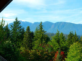 Experience breathtaking mountain views from this stunning property, nestled amidst lush evergreen forests.