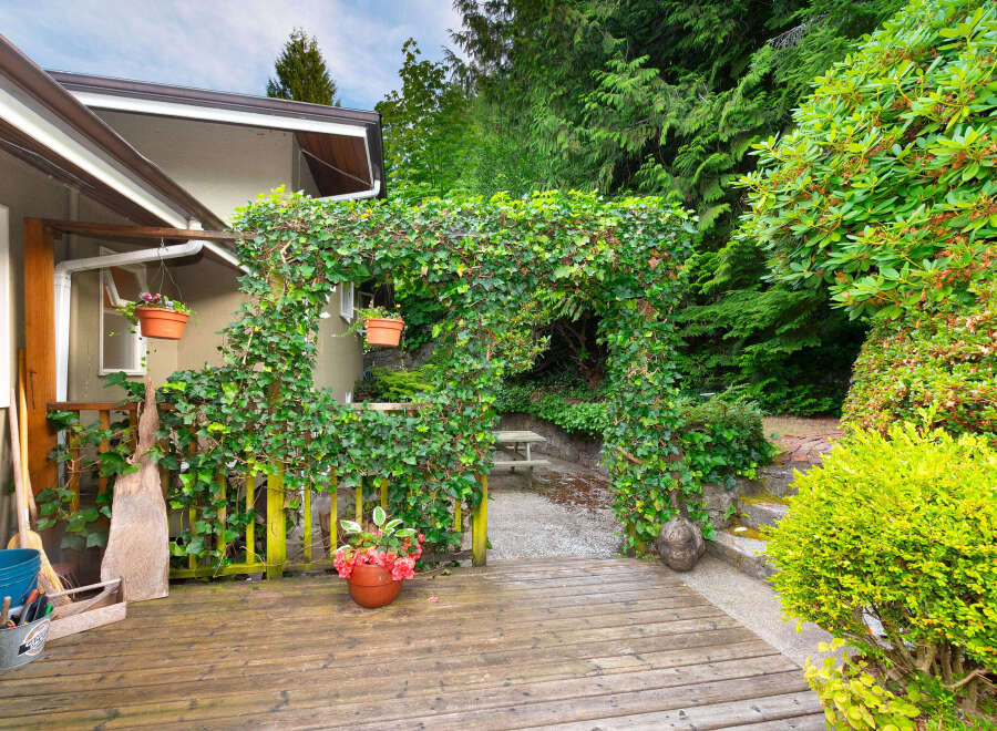Step into a lush backyard oasis featuring a charming ivy-covered archway leading to a serene seating area.