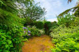 Discover a lush, green oasis perfect for outdoor living and entertaining.