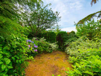 Discover a lush, green oasis perfect for outdoor living and entertaining.