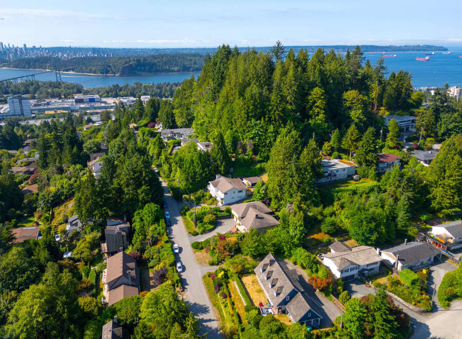 Discover this stunning aerial view of a lush, green neighborhood with beautiful homes nestled among mature trees.