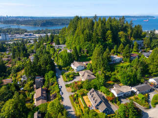 Discover this stunning aerial view of a lush, green neighborhood with beautiful homes nestled among mature trees.