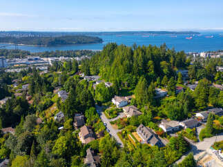 Discover this stunning residential area with beautiful homes nestled amongst lush greenery and mature trees.
