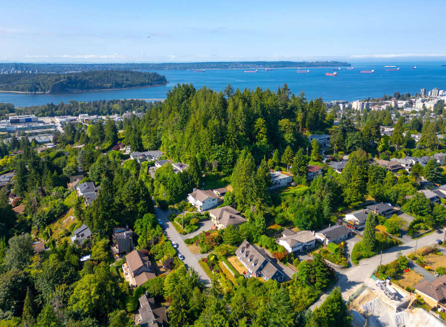 Discover this stunning aerial view of a lush, green neighborhood nestled on a hillside overlooking the water.