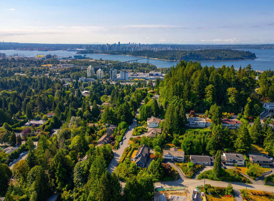Discover this stunning aerial view of a lush, green neighborhood nestled amongst mature trees, offering a serene and private residential setting.