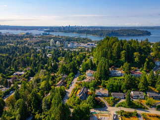Discover this stunning aerial view of a lush, green neighborhood nestled amongst mature trees, offering a serene and private residential setting.